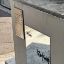 남성컷 | 미용실 새벽 홍대 미용실 남성 디자인 컷 후기