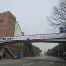 삼각초교 이미지