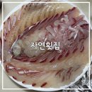 자연횟집 | 마산 구암동 맛집, 자연횟집 ㅣ 모둠회 포장 후기