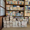 책읽는공원 공중화장실 | 영화 퍼펙트데이즈 후기, 집 출근 집 출근 중인 직장인이면 공감되는.