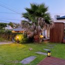 느영나영고치 이미지