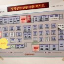 더바른테라피