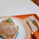 배배꼬 이미지