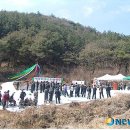 웅양면-31 이미지