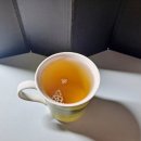 퍼펙트 P.T 이미지