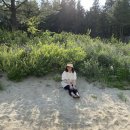 내리목장 이미지