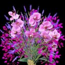 멋진하루 이미지