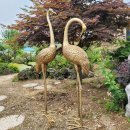 학 상징조형물 이미지