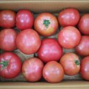 (주)풀무리 이미지