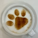 펫타리움 청담점 이미지