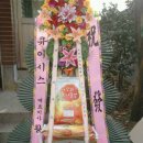 웰러스코리아 이미지