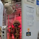 더독동물병원 이미지