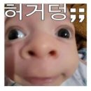 작년에갔던 이미지