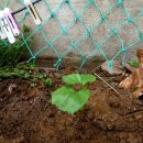 흥농농약사 이미지