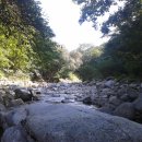 산울림캠핑장
