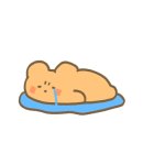 안동오리 이미지