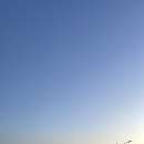 커피마녀 이미지