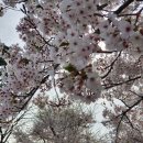 아구대통령 네이버블로그