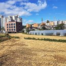 양평읍사무소 이미지