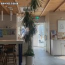 블루샥인천 - 부평구 주부토로 236 | 블루샥인천