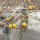 광주무등교회 이미지