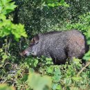 상곡마을회관 이미지