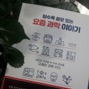 밥풀과학 이미지