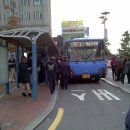 학익시장 티스토리