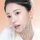 안경나라 군산대점 이미지