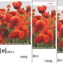 꽃과사람들.COM