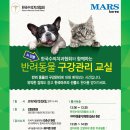 이비치 동물치과병원 이미지