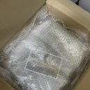 은지가든 | 본식스냅 위시스프링 내돈내산 강추 후기!