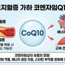 성빈약국 - 수원시 권선구 경수대로 295 | 성빈약국