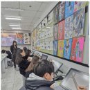 씨앤씨미술학원 | 경기광주입시미술 씨앤씨미술학원의 특별한 전시, 그 감동의 순간들