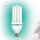 그라티아 이미지