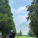 에스페란사골프클럽 이미지