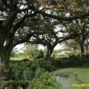 한경면 청수물마을 이미지