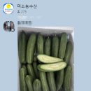 싱싱스낵