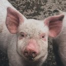 부자네 가든 이미지