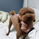 멍스타일 이미지