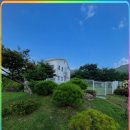 댕댕이천사 이미지