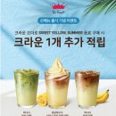 24카페폴 | 폴바셋 신메뉴 초당옥수수 아이스크림 카페 라떼 내돈내산 후기, 크라운 1개 추가 적립 이벤트!
