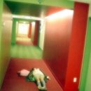 패션나라 이미지