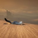 현대종합펫(현대동물병원) 이미지