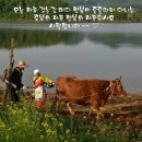 청원꽃식물원