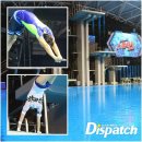 스플래쉬 이미지