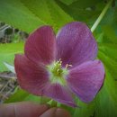 행정사제일합동사무소 이미지