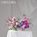 그레이스졸리