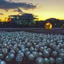 도리정원 이미지