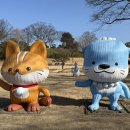여주-0214 네이버블로그